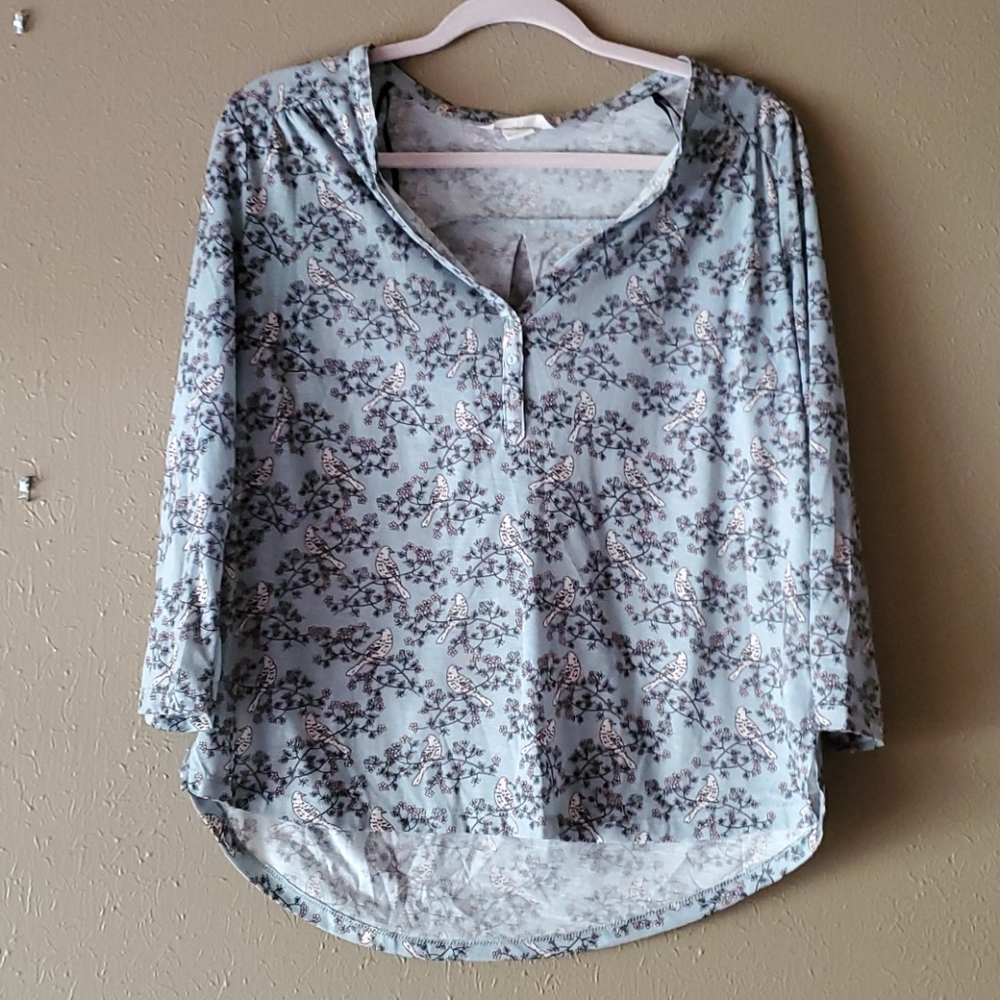 Blue blouse
